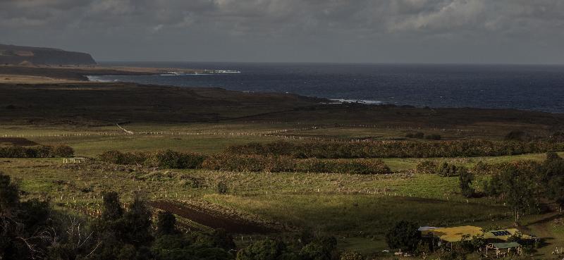 Casa Rapanui Hotel Hanga Roa Kültér fotó